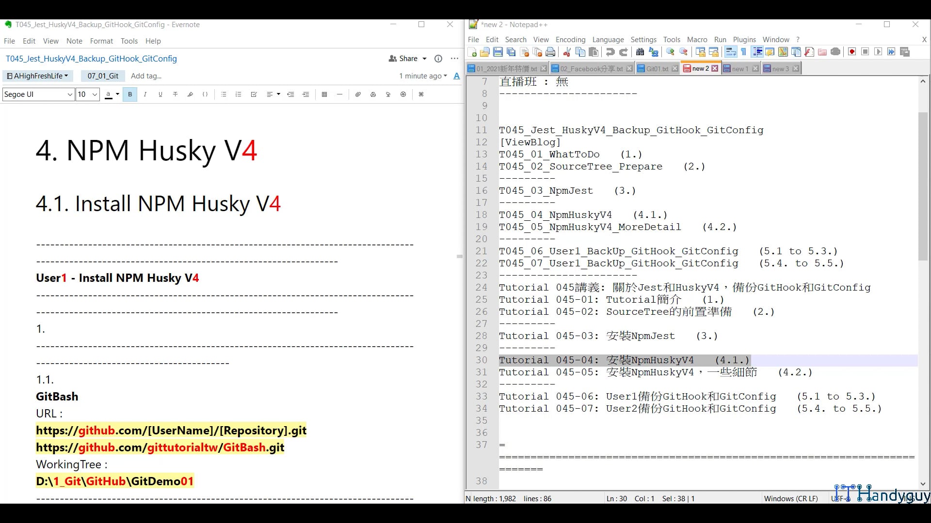 T045_04_NpmHuskyV4.mp4