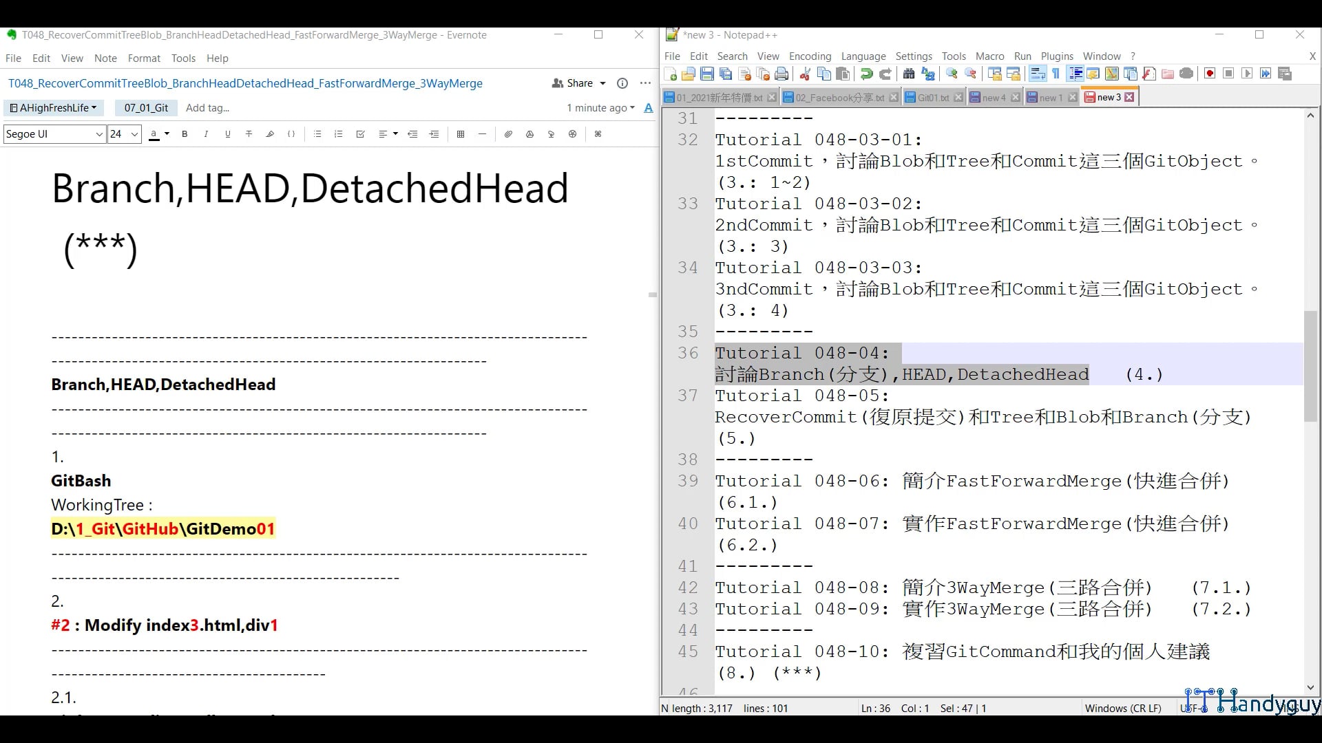 T048_04_01_Branch_Head.mp4