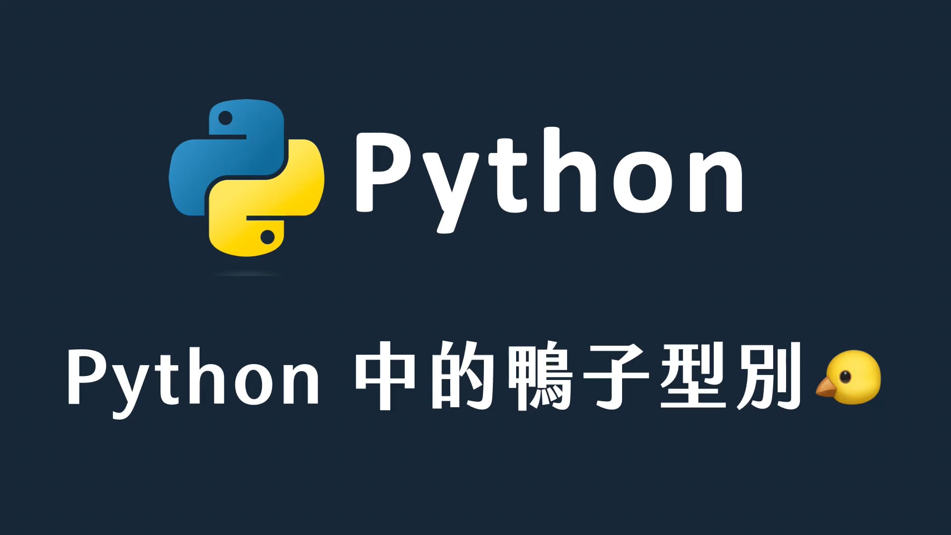 54 Python 中的鴨子型別.mp4